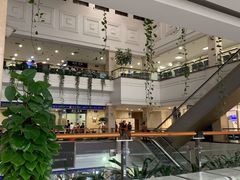 -上海市东方医院(总院)