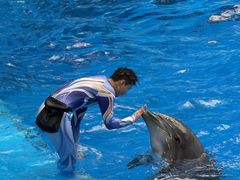 -海合安成都极地海洋公园