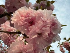 -昆山城市生态森林公园