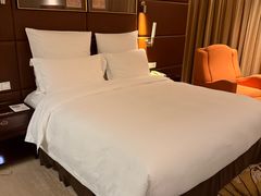 -广州白云机场雅高铂尔曼大酒店