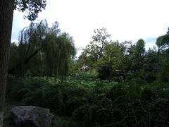 -桂湖森林公园