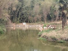 -杭州野生动物世界