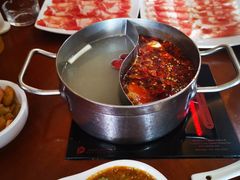 -重庆小天鹅(英雄山路店)