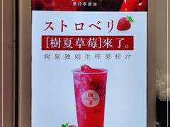 -树夏(金楠天街店)