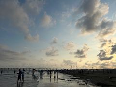 -南汇新城海滩
