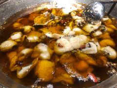 蜀龙阁水煮鱼-雲蜀龙阁·金牌水煮鱼(方庄店)