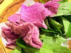 -十二舍·湯物素煮(江泰潤政店)