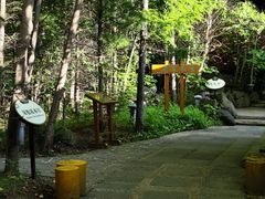 -长白山聚龙火山温泉
