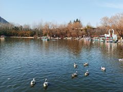 -西安秦岭野生动物园