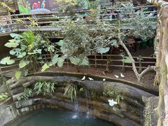 -海南槟榔谷黎苗文化旅游区