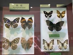 -上海昆虫博物馆