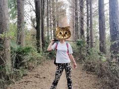 -青龙山国家森林公园