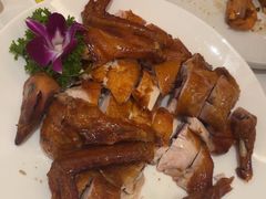 -锦粤宫·精致粤菜(深圳北站店)