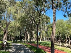 -大兴滨河森林公园