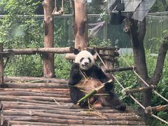 -黔灵山公园