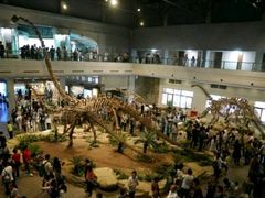 -自贡恐龙博物馆