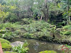 -绿光森林餐厅