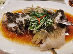 -顺风海鲜港(金玉兰店)