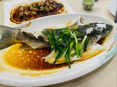 -海晖酒楼·顺德鱼生(荣华店)