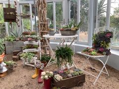 -深圳仙湖植物园