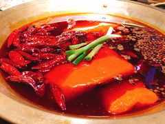 -王婆乔鲜鱼自助火锅(蜀汉路店)