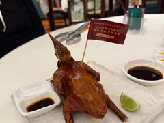 -侨美·唐荔园·40年地道粤菜