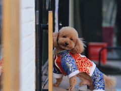 -小意思咖啡店(草桥店)