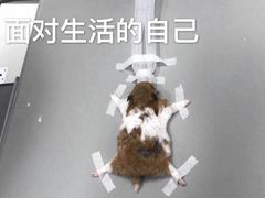 -吾悦广场(南京鼓楼店)