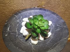 -北京东直门智选假日酒店