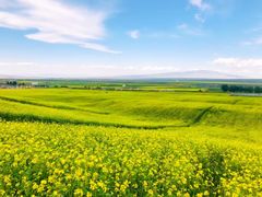 -扁都口生态休闲旅游区
