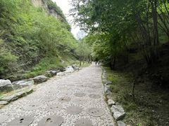 -十渡东湖港风景区