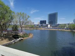 -大兴滨河森林公园