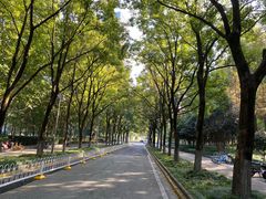 -后襄河公园