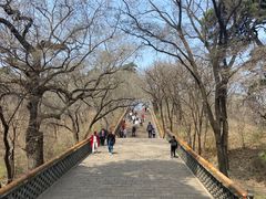 -沈阳市东陵公园