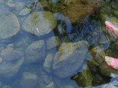 -仙山谷激浪漂流