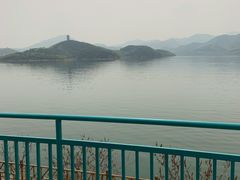 -望湖烤鱼