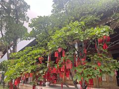 -大理文庙(大理古城)