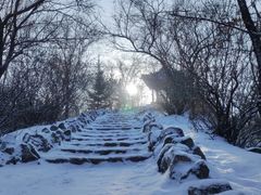 -龙沙公园
