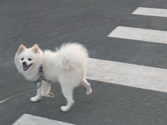 -海底捞火锅(天津SM城市广场店)