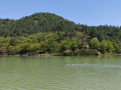 -广州白江湖森林公园