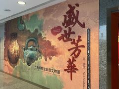 -上海博物馆(人民广场馆)