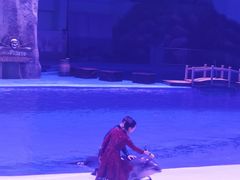 -华夏文旅海洋公园