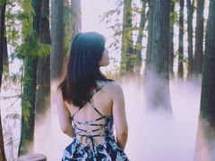 -东湖落雁景区