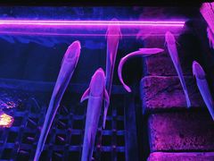 -波塞冬旅游度假区