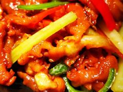 -葡萄集|滋味新疆菜·精酿酒馆(瑞豪酒店)