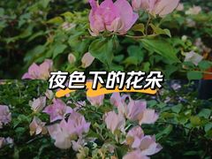 -万绿园