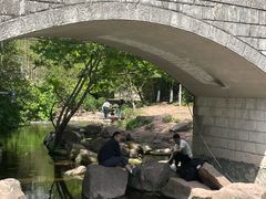 -重庆彩云湖湿地公园