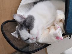 -纳吉亚猫专科动物医院博雅分院