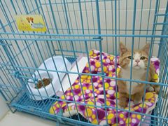 -畜牧兽医站(共江路店)