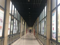 -上海市第六人民医院(临港院区)